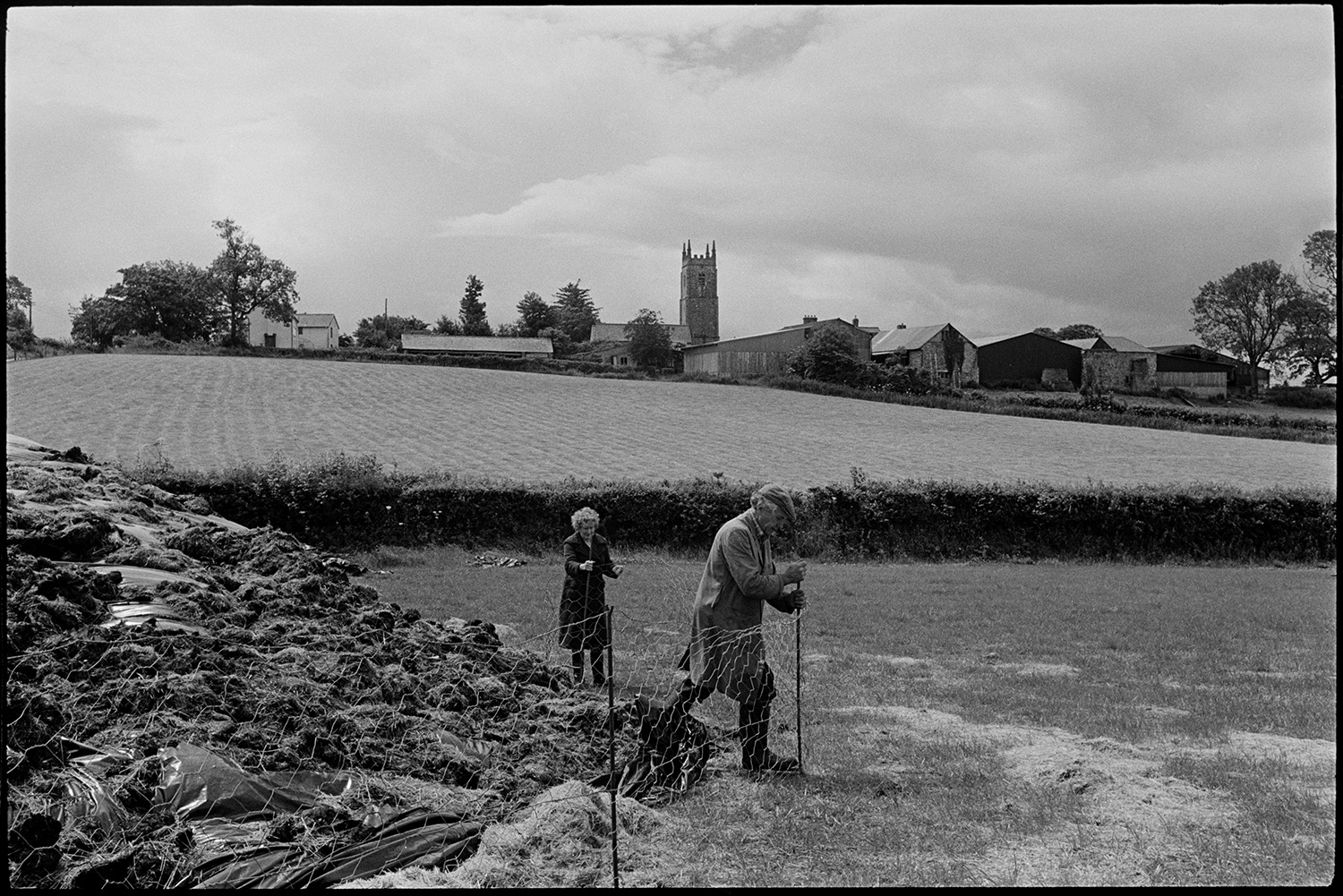 Farmers checking sheep and fencing off silage heap. Church with tower behind.
[Mr and Mrs Dunn setting up a wire netting fence around a silage heap at Brimblecombe, Dowland. The church tower and farm buildings are visible in the background.]