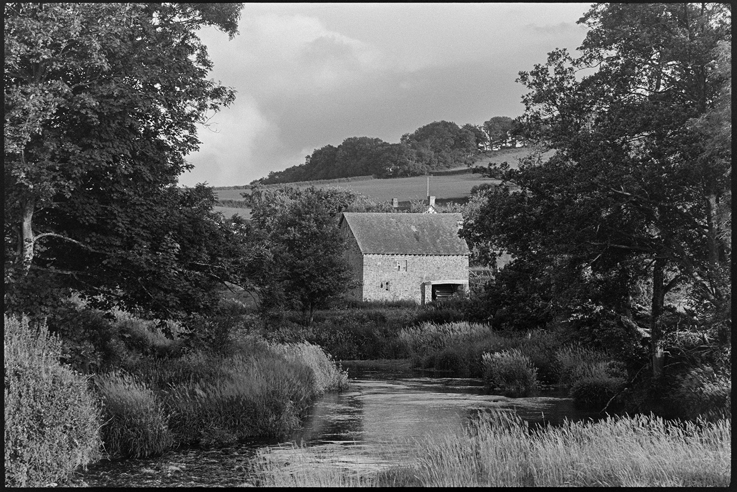 River with old stone mill. <br />
[The River Taw running past the stone mill buildings of Rashleigh Mill near Bridge Reeve. Fields and trees can be seen in the background and along the river.]