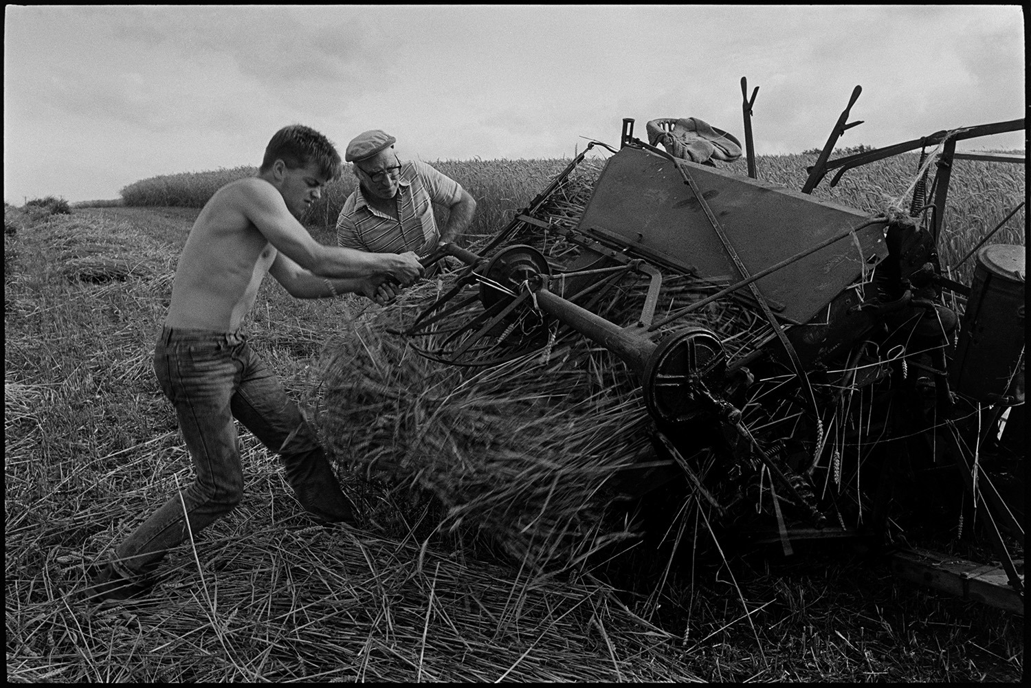 Farmers setting up stooks and unblocking reap and binder which had jammed. 
[A young man and older man, possibly from the Down family, unblocking stuck reed from a reap and binder, in a field at Spittle Farm, Chulmleigh.]