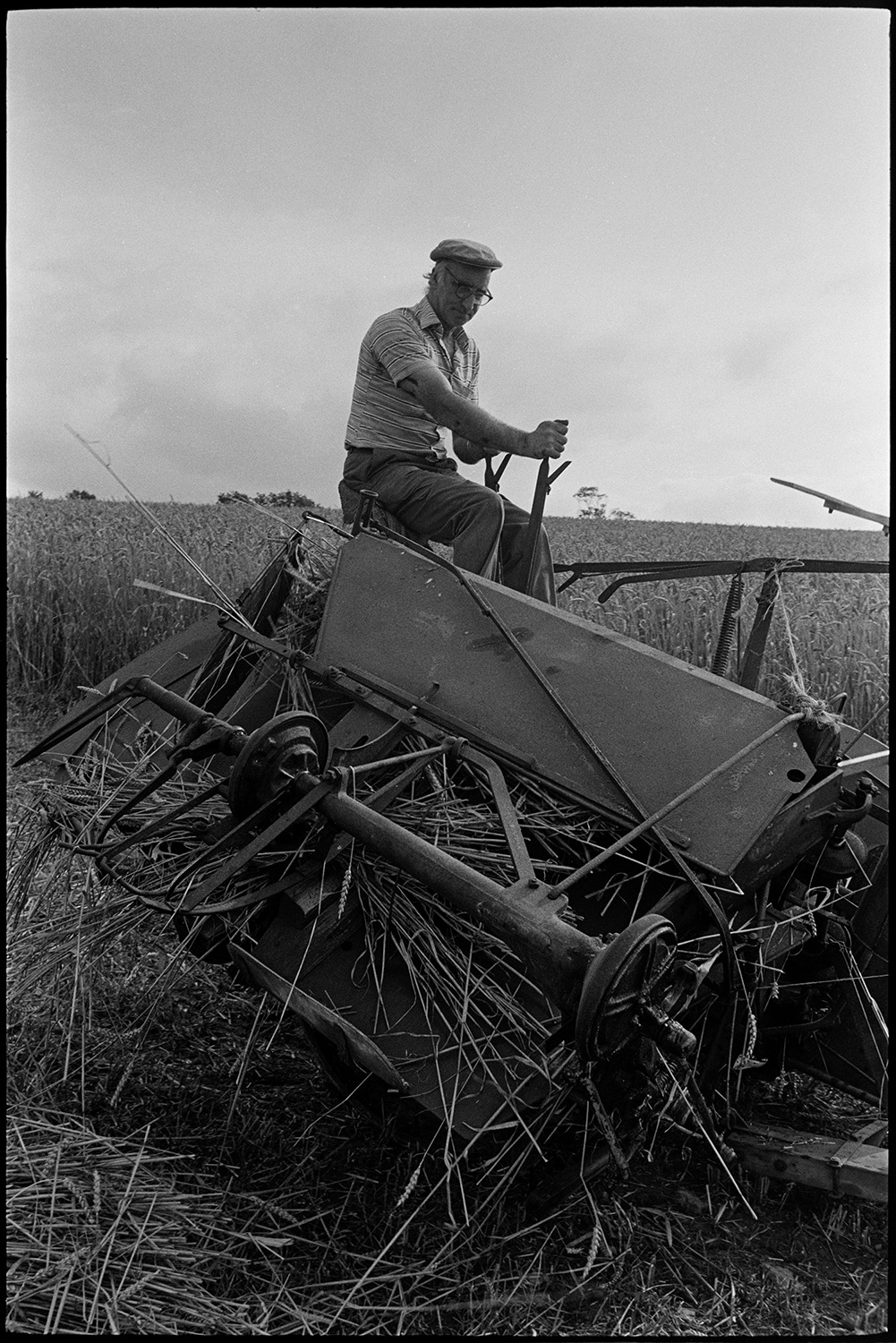 Farmers setting up stooks and unblocking reap and binder which had jammed. 
[A  man, possibly from the Down family, unblocking stuck reed from a reap and binder, in a field at Spittle Farm, Chulmleigh. He is sat on the machinery.]