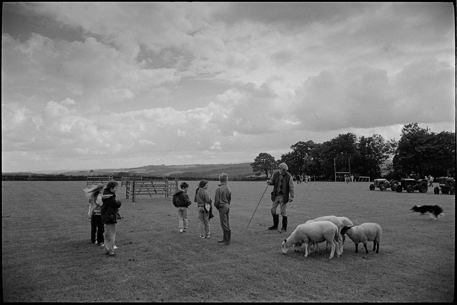 Sports Day, sheep dog trials, races, stalls, football. 
[Children watching a man compete in a sheep dog trial at a sports day at Chulmleigh playing field. Old tractors are parked in the background.]