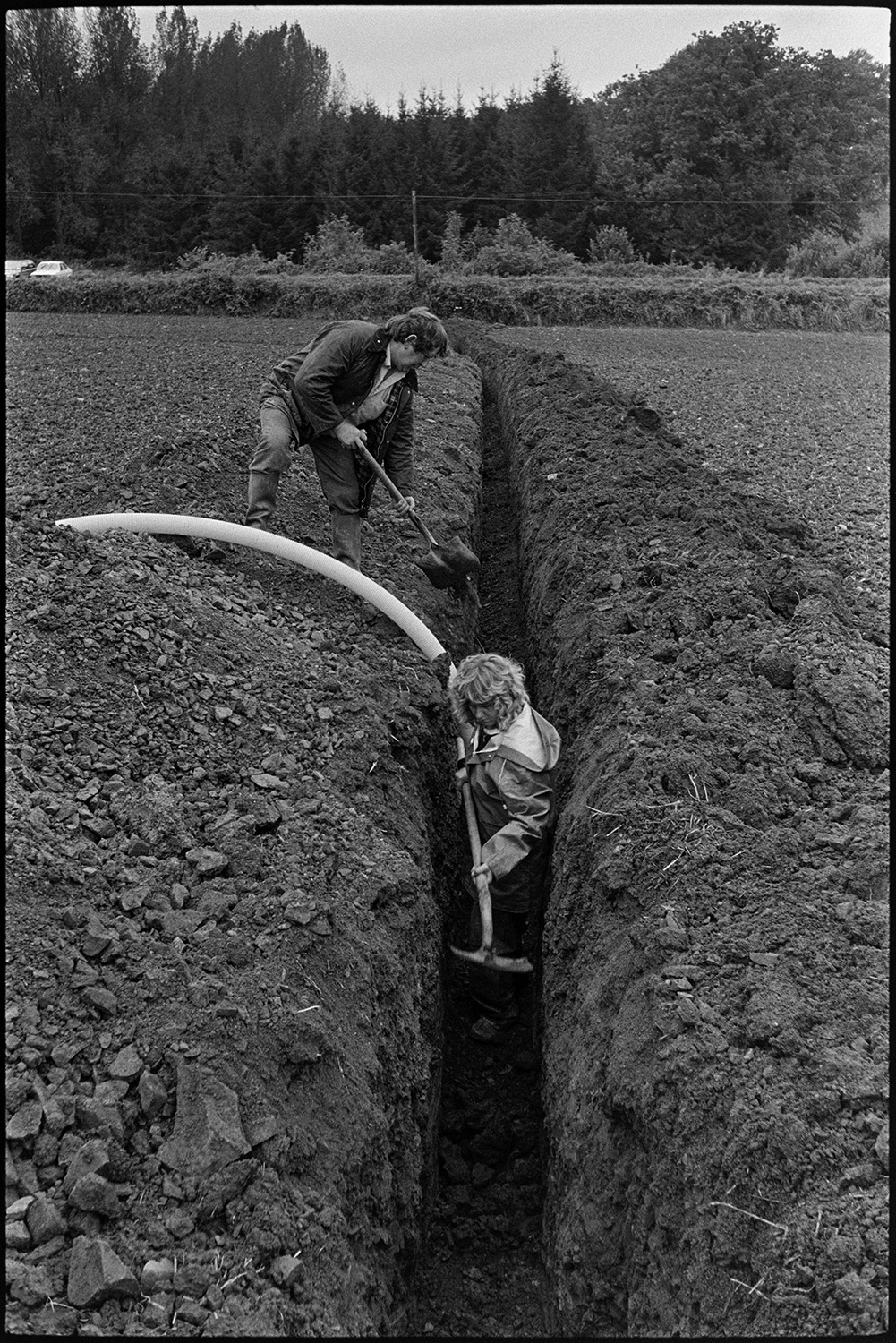Farmer and daughter, woman, laying drainage pipe in ploughed field, tractor, JCB. 
[Rob Millman and his daughter laying a drainage pipe in a ploughed field near Leigh Cross, Chulmleigh. His daughter is stood in the trench covering the pipe while he shovels earth into the trench.]