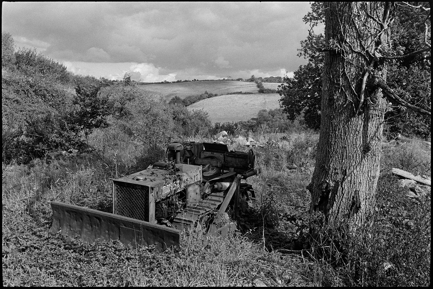 Dog barking in farm lane with parked harrow, old bulldozer. 
[An old bulldozer parked by a tree in a field at Spittle Farm, Chulmleigh. Fields and hedgerows can be seen in the background.]