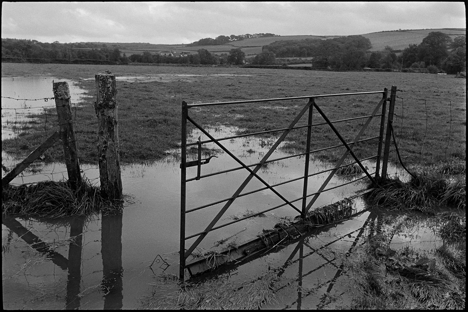 River in flood, marooned thatched cottage, iron gate in flooded field. 
[A metal gate and wire fence by a field with patches of flood water at Bridge Reeve, Ashreigney.]