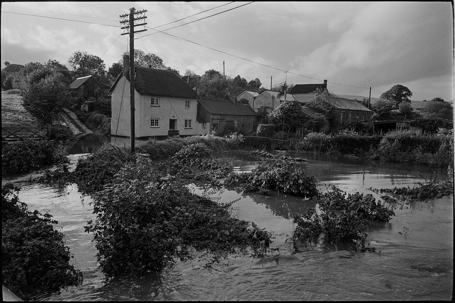 River in flood, marooned thatched cottage, iron gate in flooded field. 
[A thatched cottage cut off by flooding from the River Taw at Bridge Reeve, Ashreigney. Foliage washed down by the river can be seen floating in the flooded field in the foreground.]