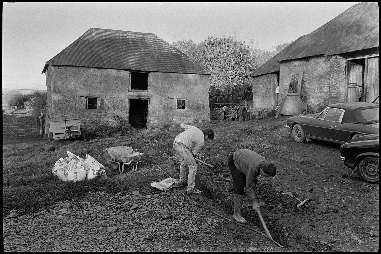 Remains of orchard in front of cob and thatch farmhouse mucking out, manure heap. 
[Two men digging a ditch in a farmyard at South Ash, Kings Nympton. Parked cars, barns with corrugated iron roofs, a tractor, dung heap and wheelbarrow are all visible in the farmyard.]