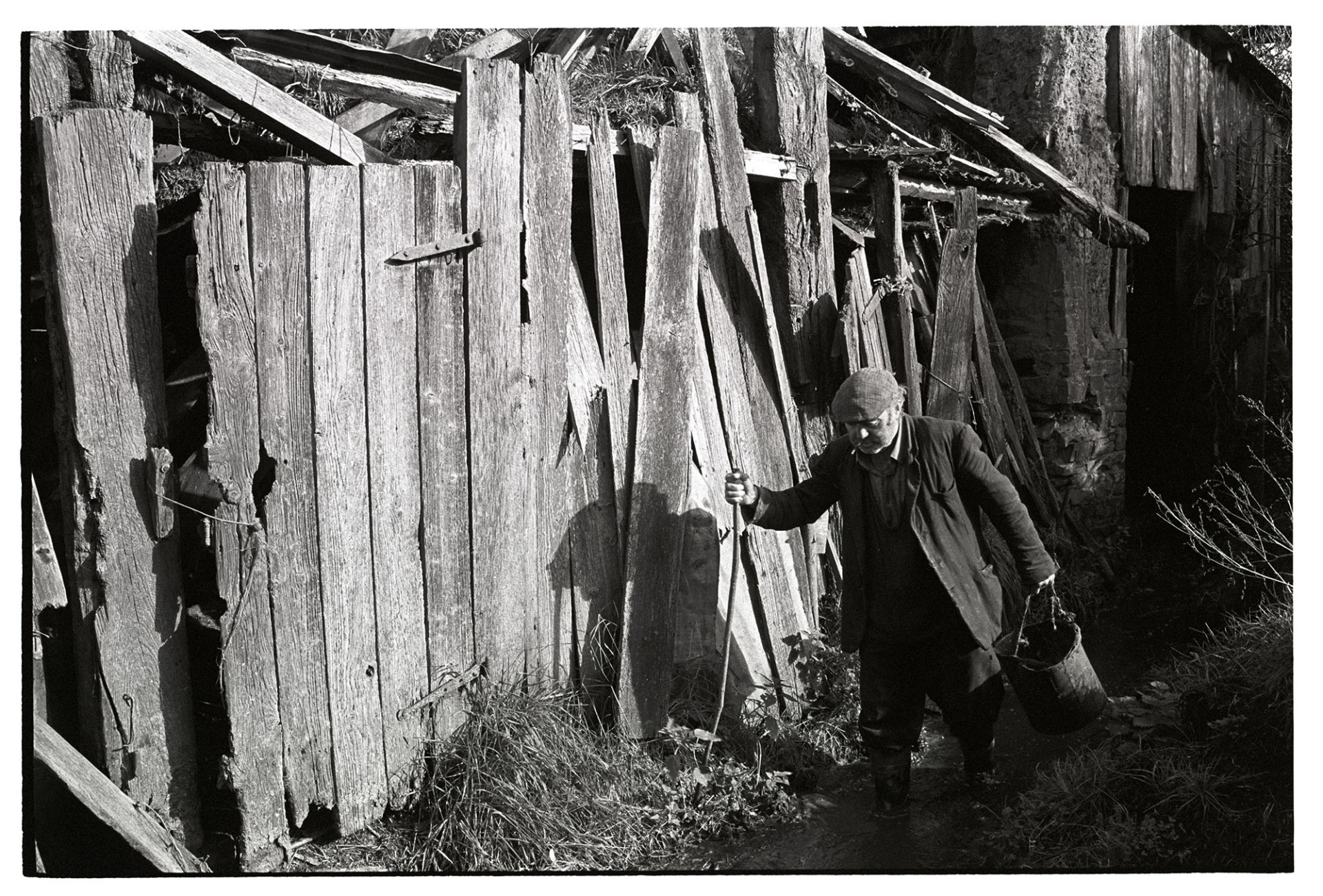 Farmer beside broken down barn, mud. 
[Reg Holland walking along a muddy track past a collapsing wooden barn at Newhouse, Ashreigney. He is holding a bucket, and using a branch as a cane.]