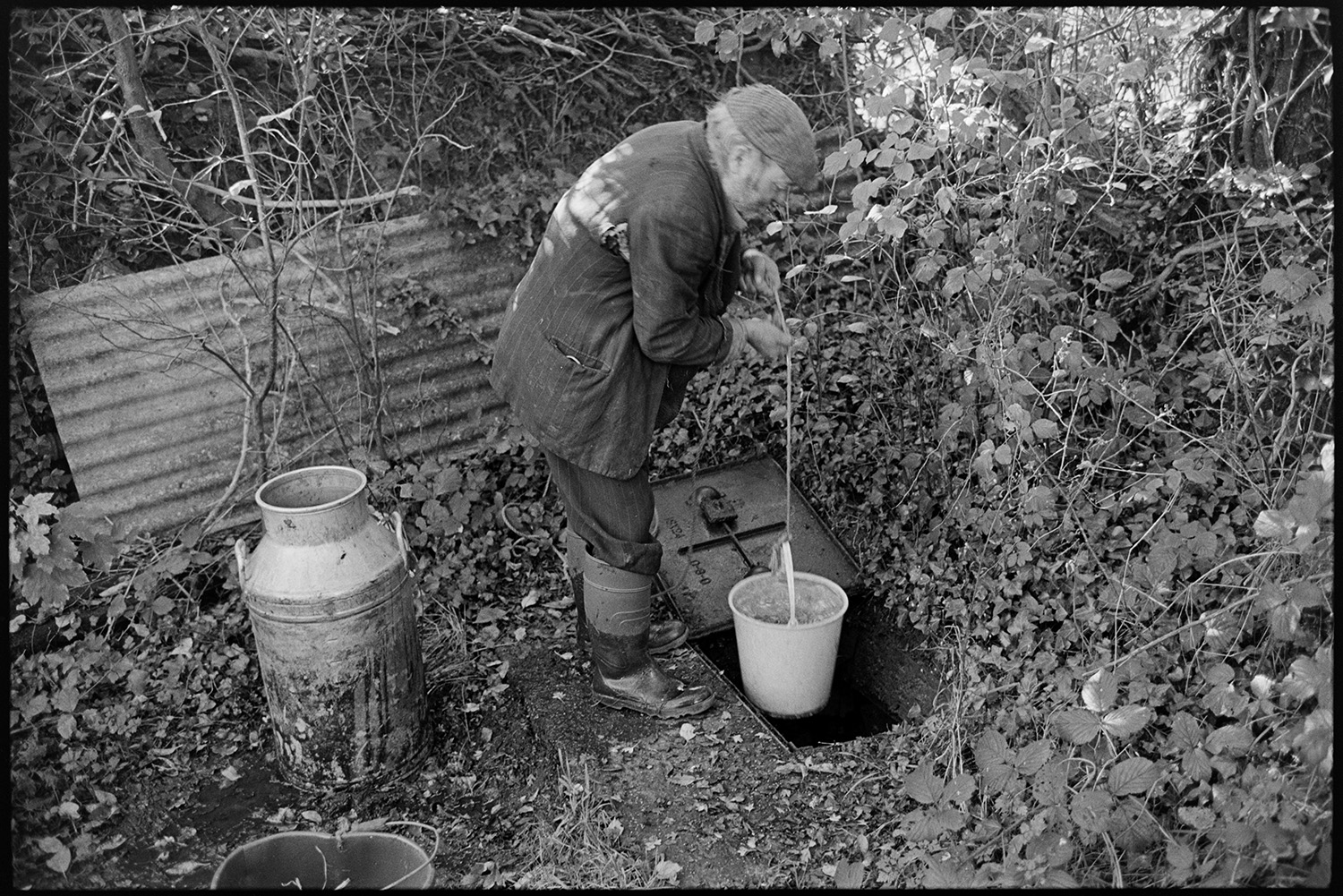 Farmer drawing water from well with bucket and filling churn. 
[Reg Holland drawing water from a well using a bucket, at Newhouse, Ashreigney. He is using the water to fill a churn behind him.]