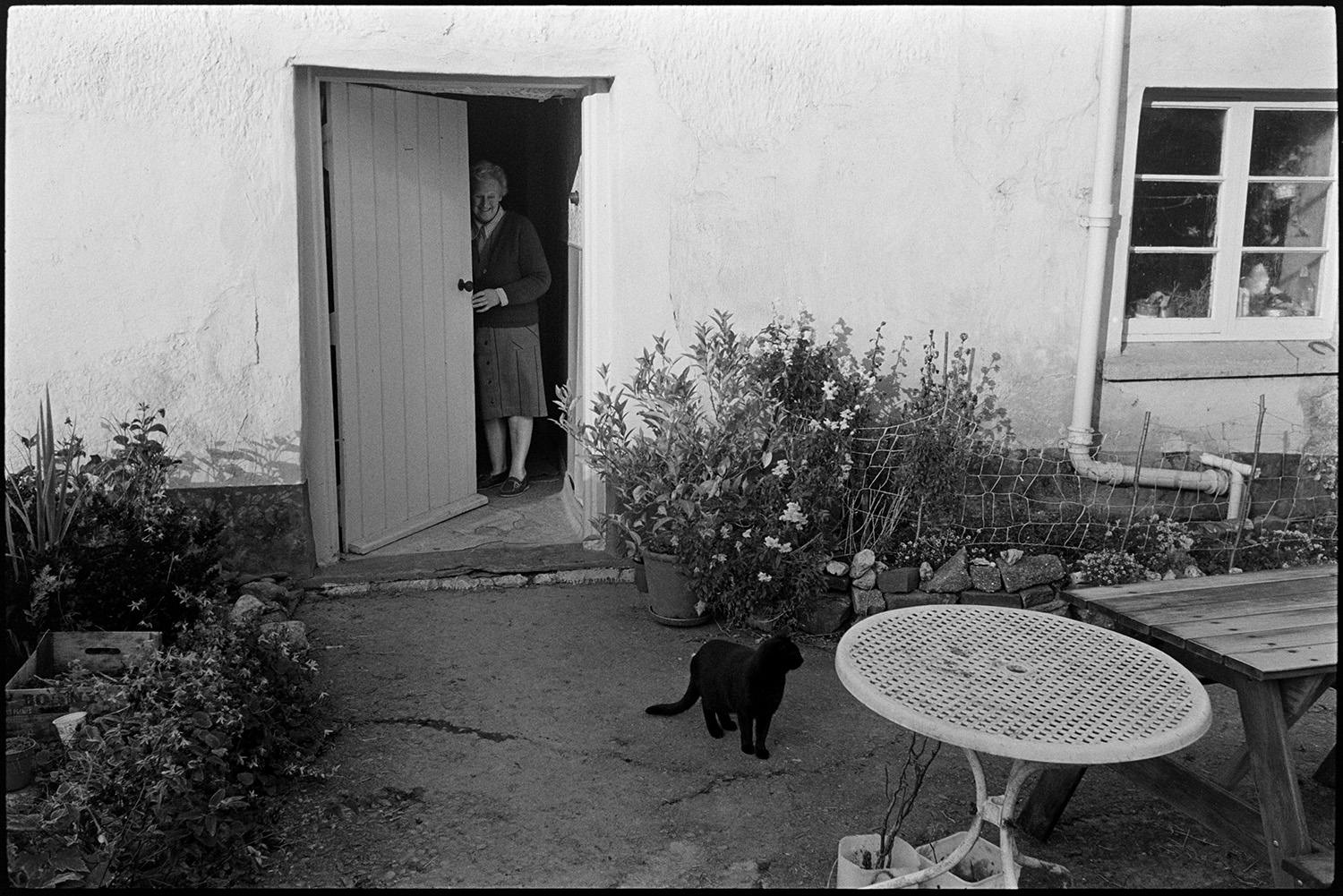 Orchards, Somerset, proprietor apples being unloaded at press. 
[A woman at her farmhouse doorway looking at a cat in the garden outside, at Cawseys Meethe, Kings Nympton.]
