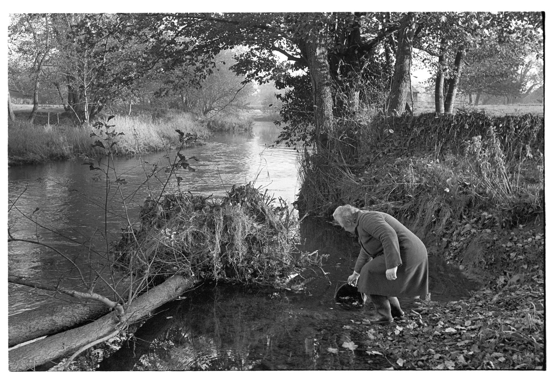 Woman farmer filling bucket with water from river. 
[A woman filling a bucket with water from the River Mole at Cawseys Meethe, Kings Nympton. The river is lined with trees and fields.]
