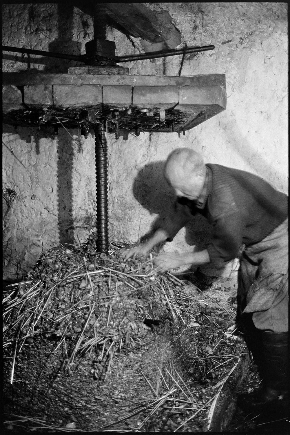 Orchards, Devon, man operating cider press, making cheese. 
[Bill Hammond making the cheese in a cider press by layering apple pulp and straw onto the press, at Rashleigh Mill, Bridge Reeve.]