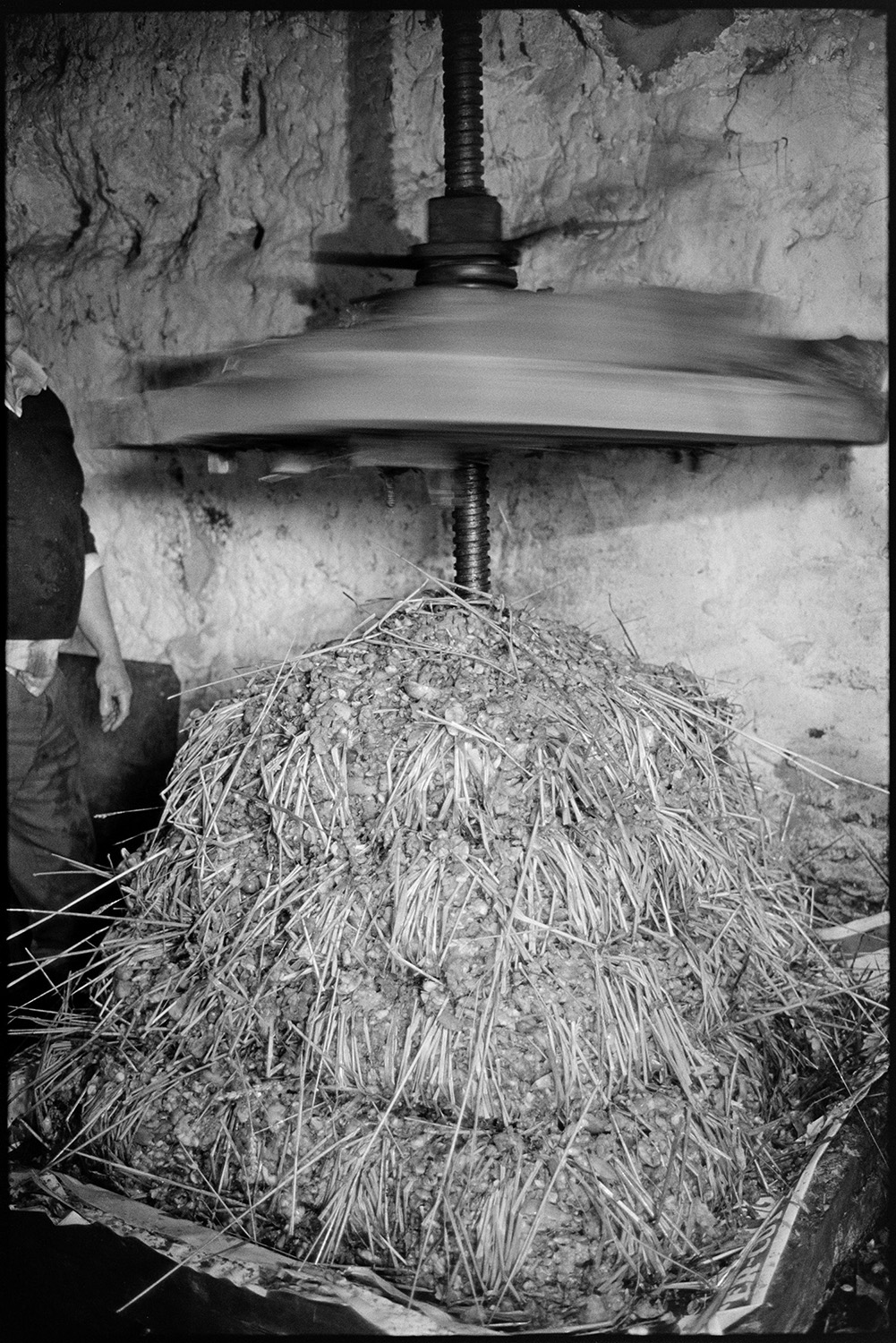 Orchards, Devon, man operating cider press, making cheese. 
[A man watching a cider press about to compress the cheese, layers of apple pulp and straw, in a barn at Rashleigh Mill, Bridge Reeve.]
