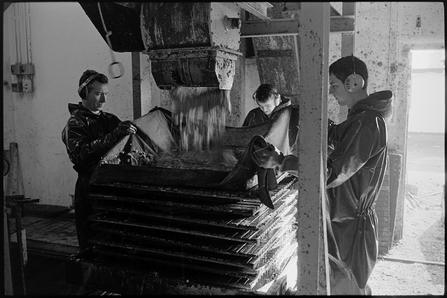 Orchards, Devon, cider press in factory, apples arriving on trailer. 
[Three men putting apple pulp into a cider press at Sam Inch's cider factory at Winkleigh. They are wearing ear defenders.]