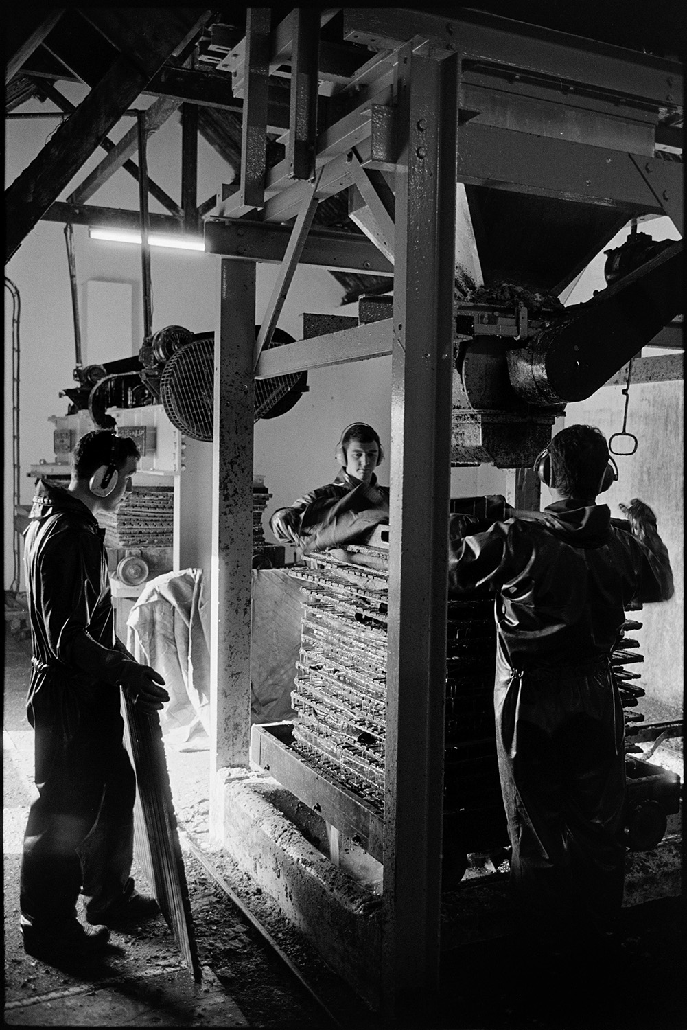 Orchards, Devon, cider press in factory, apples arriving on trailer. 
[Three men working with a cider press at Sam Inch's cider factory at Winkleigh. They are wearing dear defenders.]