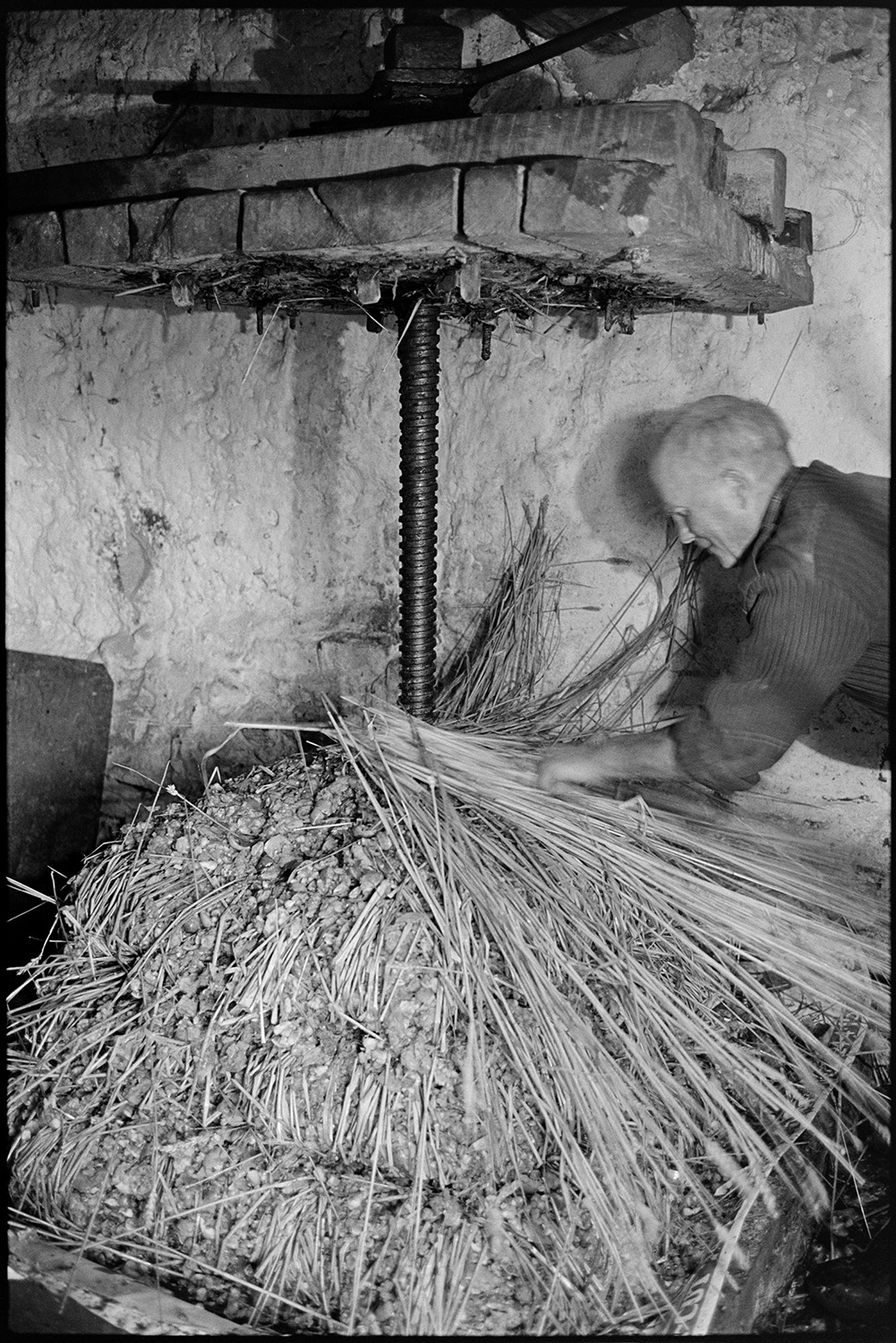 Cider making, apple crusher and cider press. 
[Bill Hammond making the cheese, layers of apple pulp and straw, on a cider press in a barn at Rashleigh Mill, Chulmleigh.]