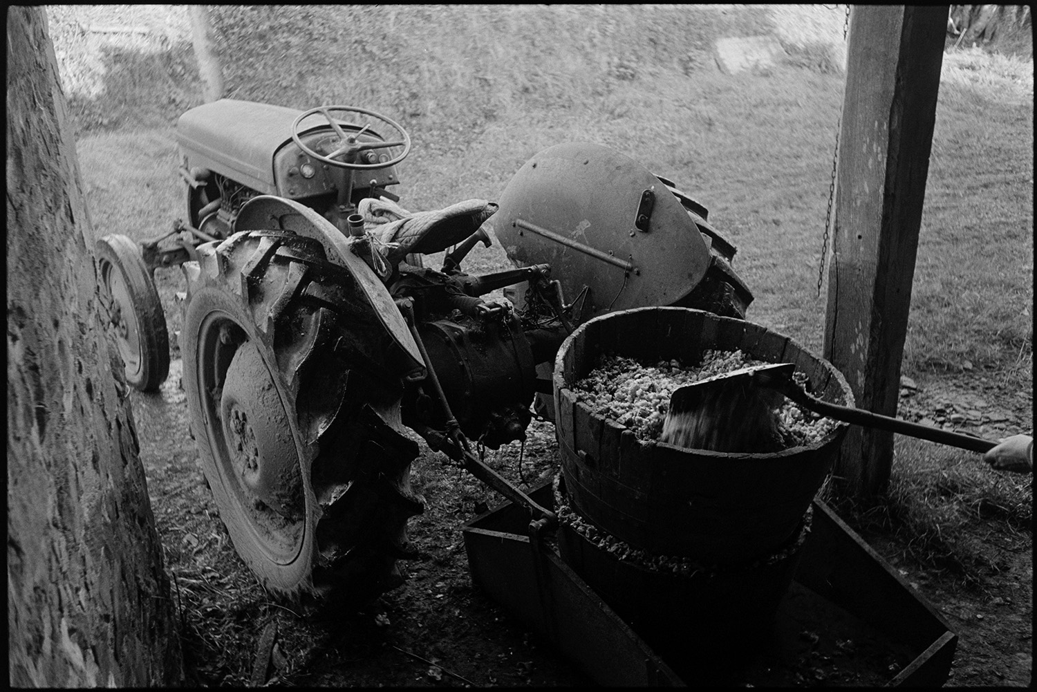 Cider making, apple crusher and cider press. 
[A tractor with barrels full of apple pulp for cider making parked outside a barn at Rashleigh Mill, Bridge Reeve. A shovel is resting on the pulp.]
