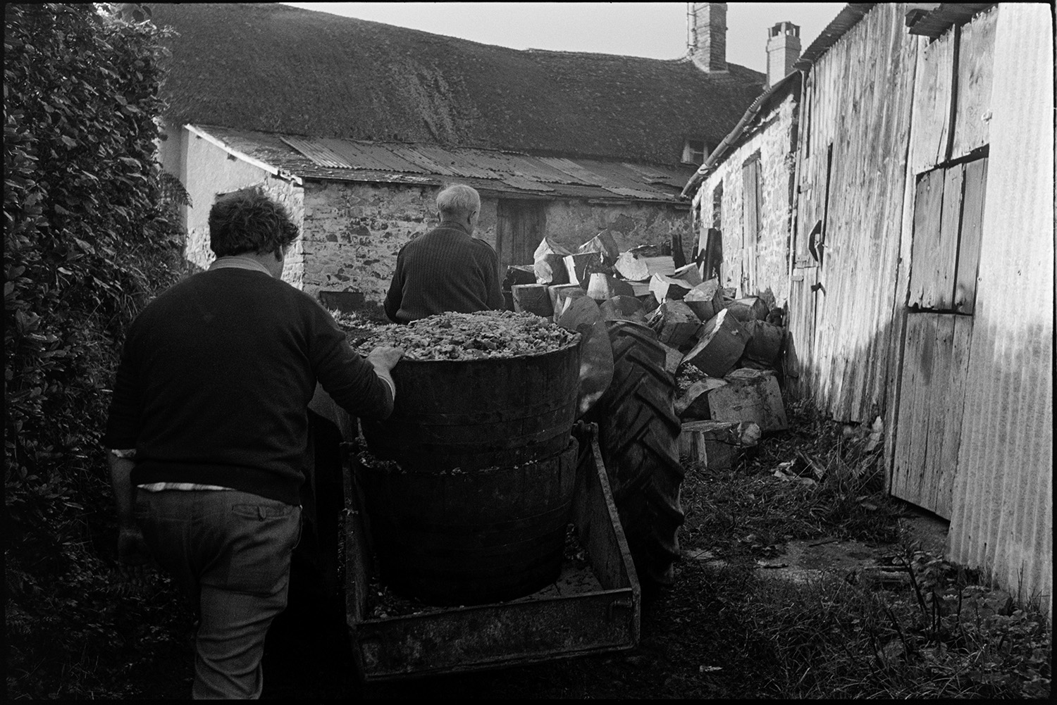 Cider making, apple crusher and cider press. 
[Bill Hammond driving a tractor with barrels of apple pulp past a corrugated iron barn towards a thatched house at Rashleigh Mill, Bridge Reeve. Another man is walking behind the tractor.]