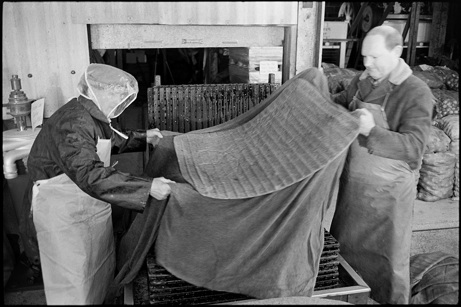 Cider making, men operating cider press in factory. 
[Two men draping a cover over a cider press at Hancock's cider factory at Clapworthy Mill, South Molton. One of them is wearing a polythene mask over his face.]