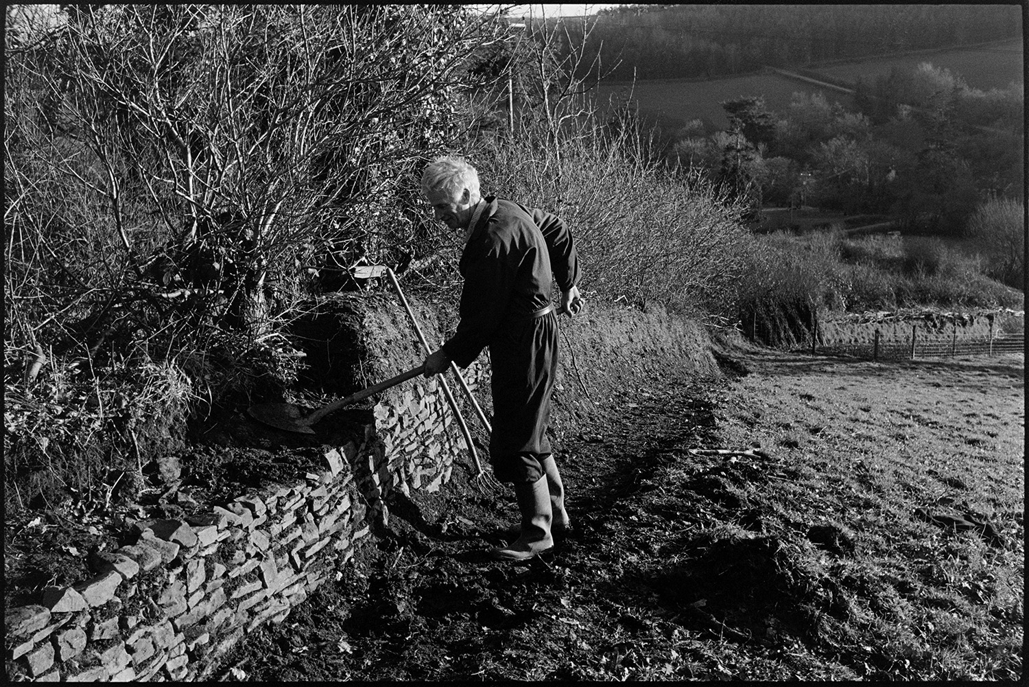 Man building hedge bank, putting earth on dry stone wall. 
[Geoff Darch building up a hedgebank with earth in a field at Chulmleigh. He is placing the earth on top of the dry stone wall at the bottom of the hedge with a spade.]