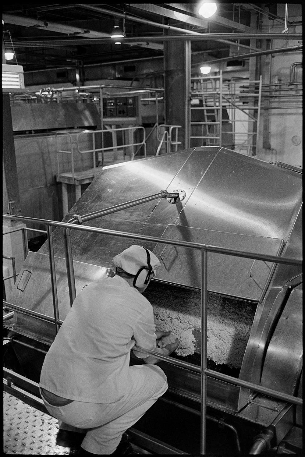 Men working in cheese factory. 
[A man inspecting cheese in a large metal container at the Dairy Crest North Tawton Cheese Factory. He is wearing ear defenders.]