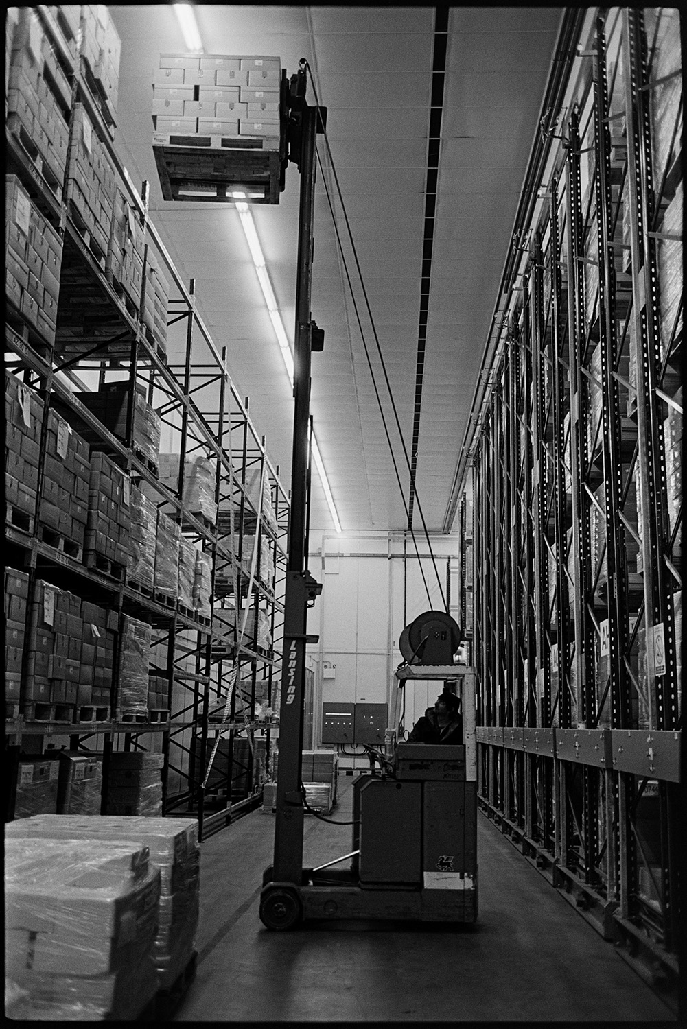 Interior of cheese factory men testing cheese and packing. 
[A person operating a fork lift truck to retrieve or store boxes at the Dairy Crest north Tawton Cheese Factory.]