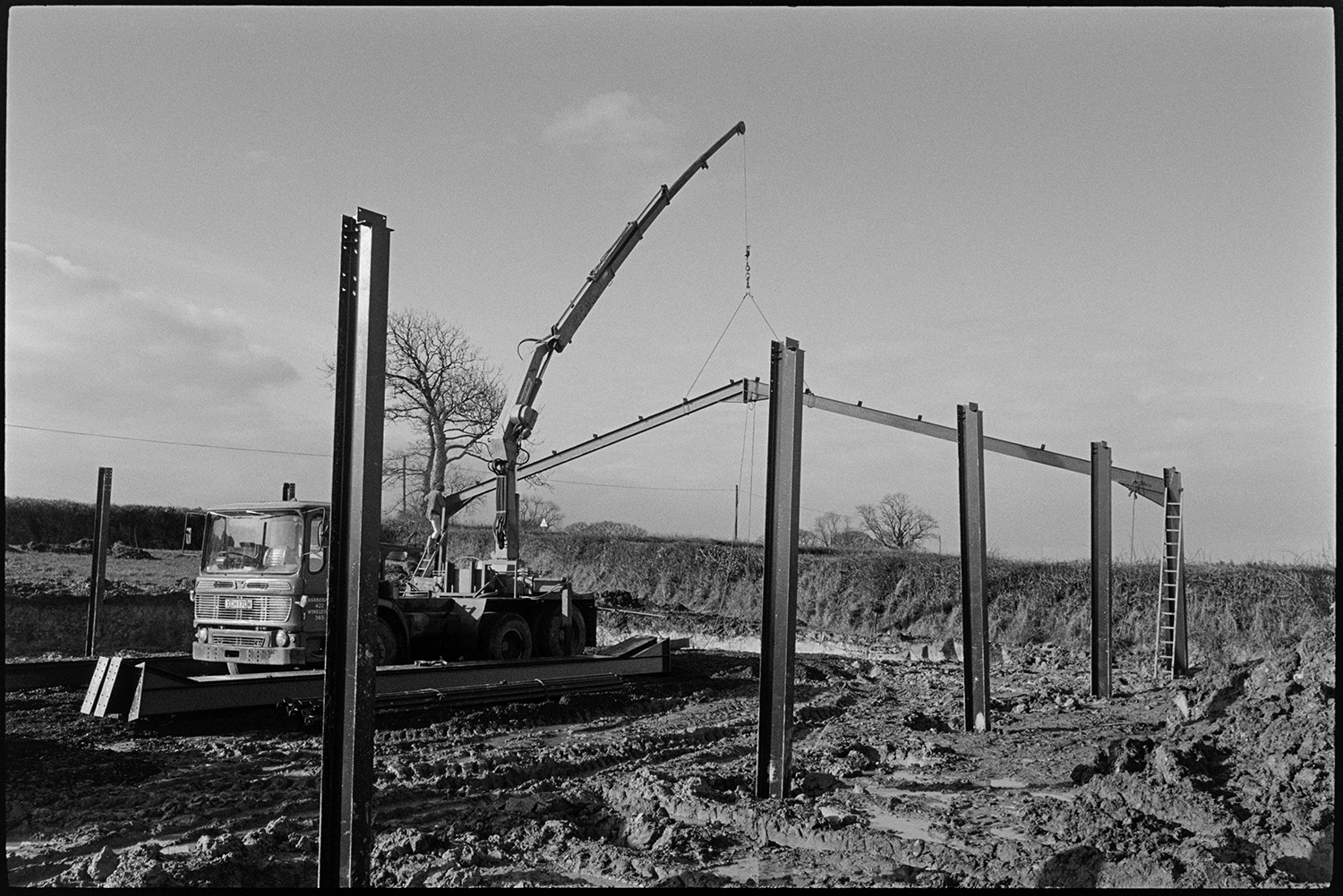 Crane erecting new barn in field. 
[A crane putting up the metal frame of a barn in a muddy field in Ashreigney. A person is up a ladder fixing the frame together on the far side of the barn.]