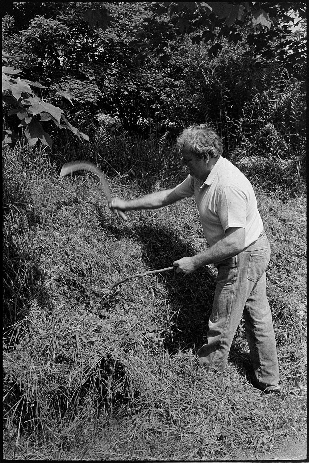 Man cutting back grass with sickle and stick.
[A man is cutting back grass on a roadside hedge with a sickle and stick, at Colehouse, near Riddlecombe.]