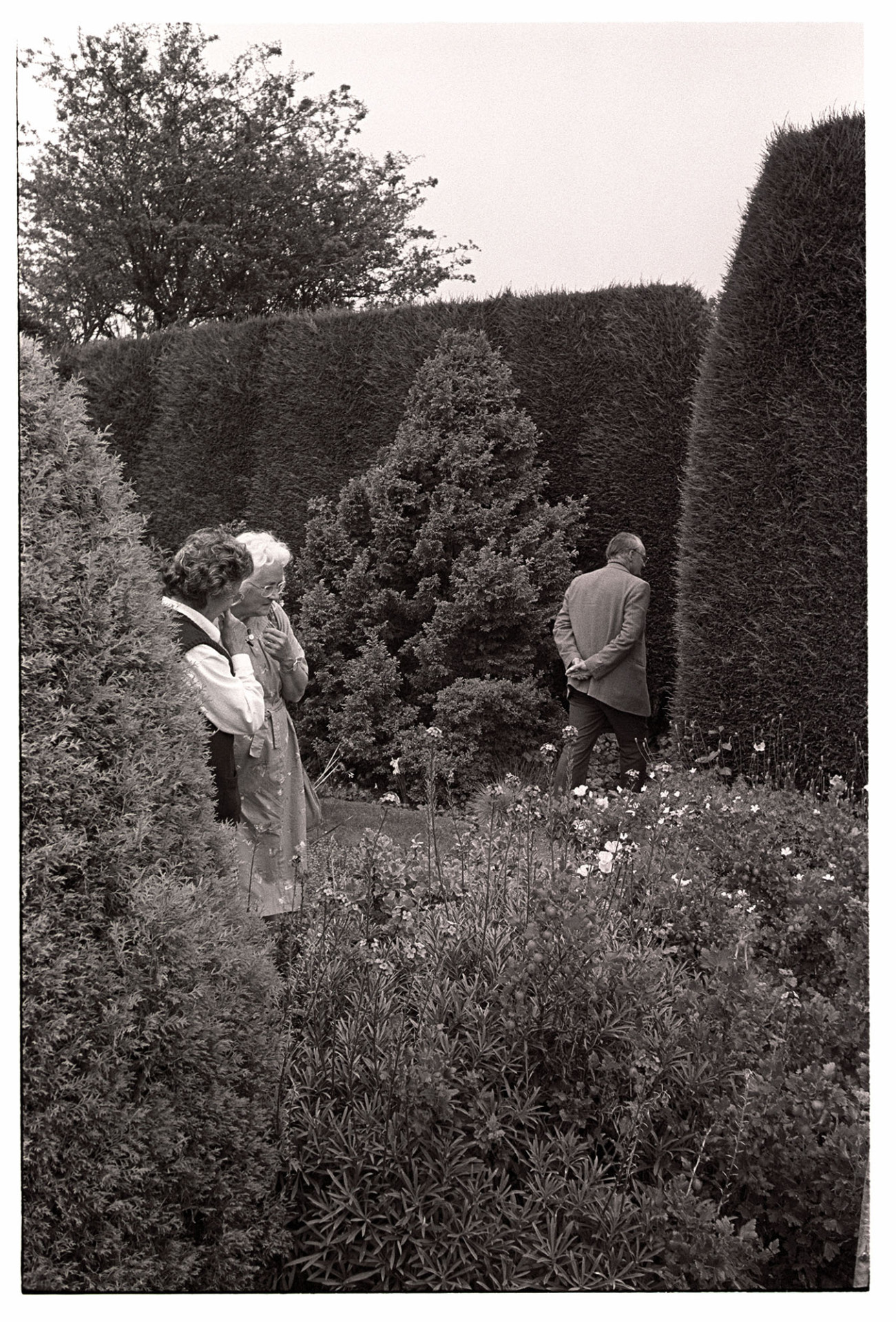 Open garden, people looking round garden. 
[Two women and a man admiring the garden at a garden party at Highdown, Ashreigney, hosted by Moggie Dew.]