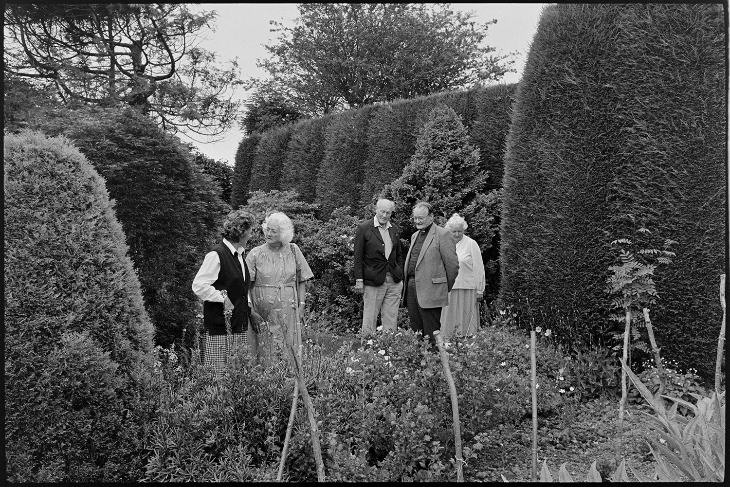 Open garden, with cake stall and people looking around garden. Thatched garage.
[Three women and two men, including a vicar, are admiring the garden at an open garden event at Highdown, Ashreigney, hosted by Moggie Dew. There are many tall evergreen shrubs with trees behind them.]