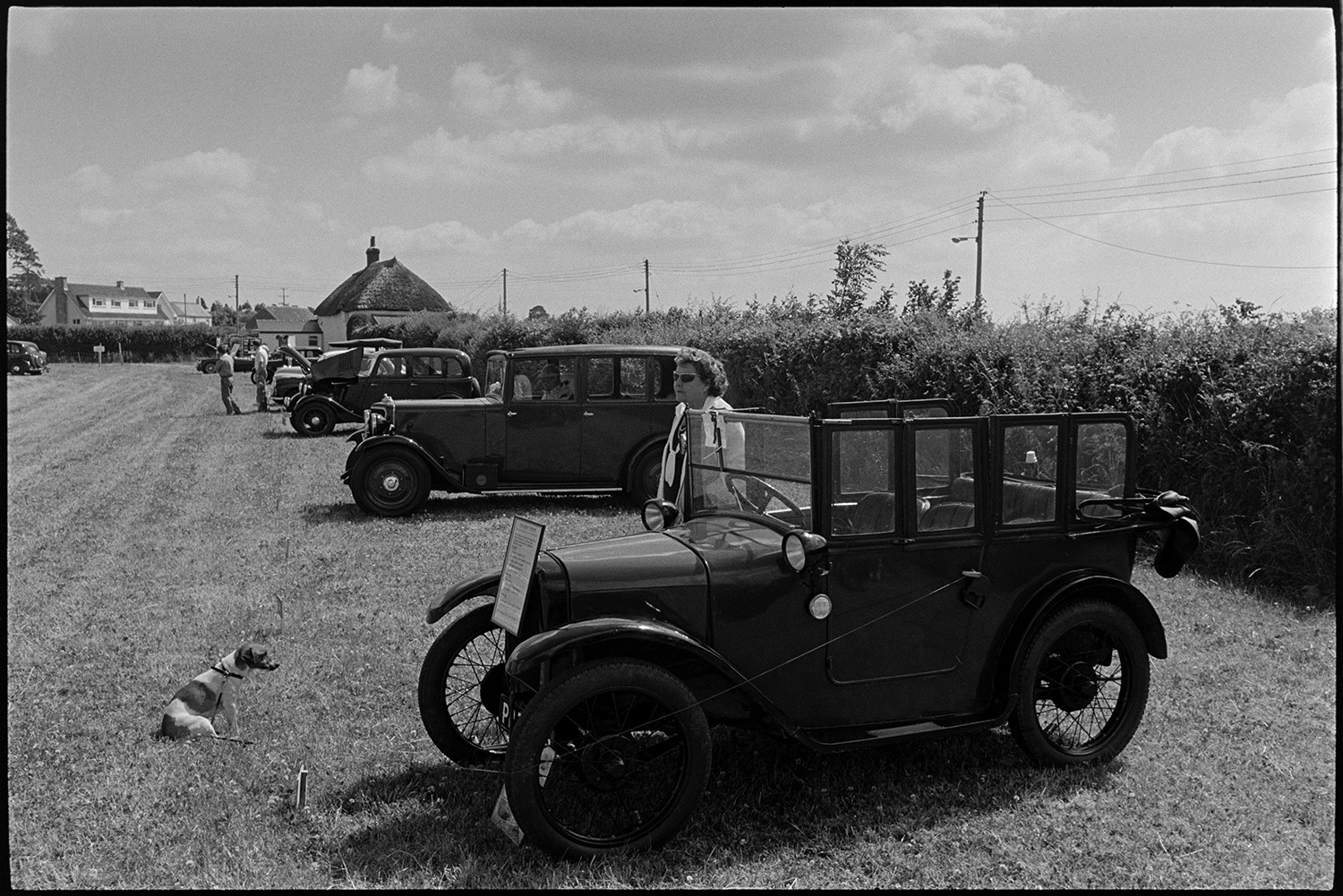 Country fair, vintage cars, sheep being rounded up for show.
[Vintage cars on display in a field at Ashreigney Country Fair. A woman and a small dog are next to an open top vintage car. Village houses are visible in the background.]