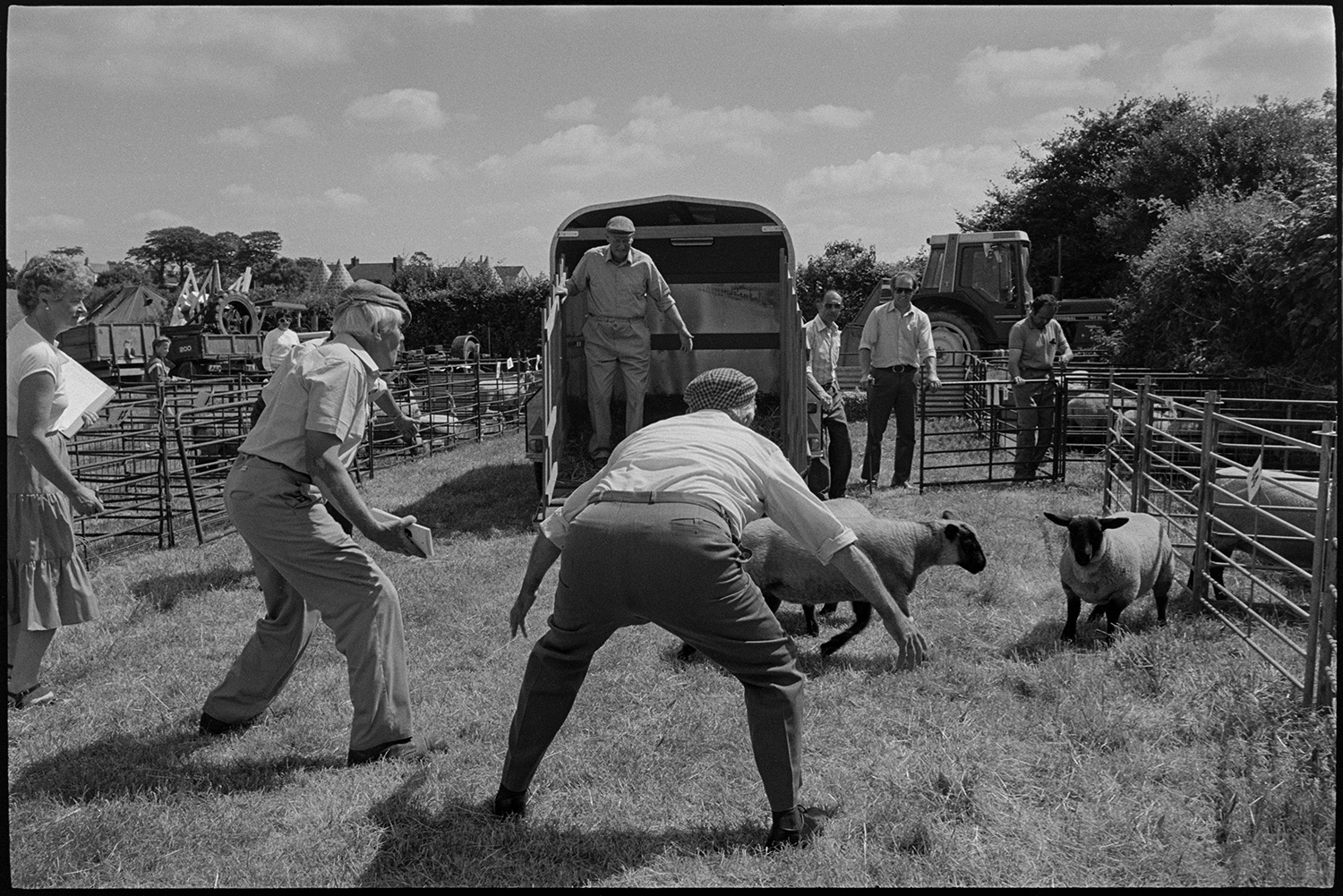 Country fair, vintage cars, sheep being rounded up for show.
[Sheep being unloaded from a trailer and guided into a pen at Ashreigney Country Fair. A woman is holding a clipboard and pen nearby. There are other agricultural vehicles and sheep pens in the field.]