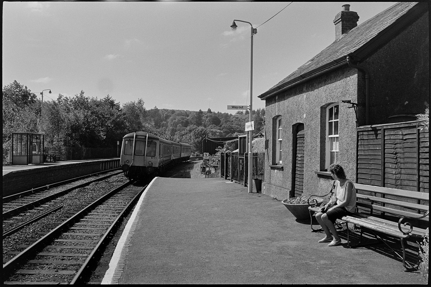 A woman sitting on a bench and watching a diesel train arriving at Eggesford railway station. There is a building on the platform and a waiting shelter on the opposite platform. A wooded landscape is visible in the background.