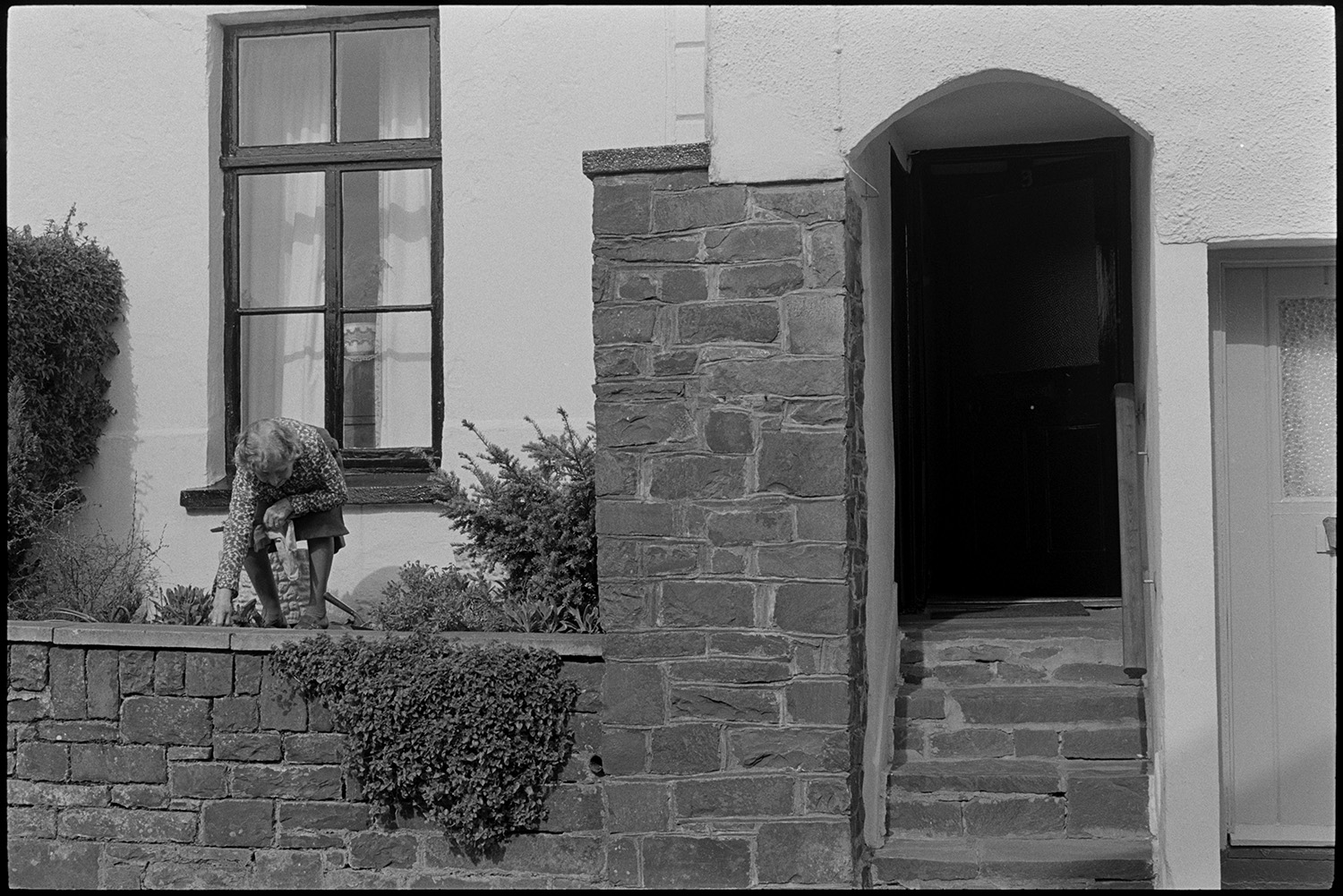 Woman gardening in small patio and sitting chatting to photographer.
[Mrs Bussell working in her front garden in Leigh Road, Chulmleigh. Steps leading up to an archway and the front door of the house are also visible.]