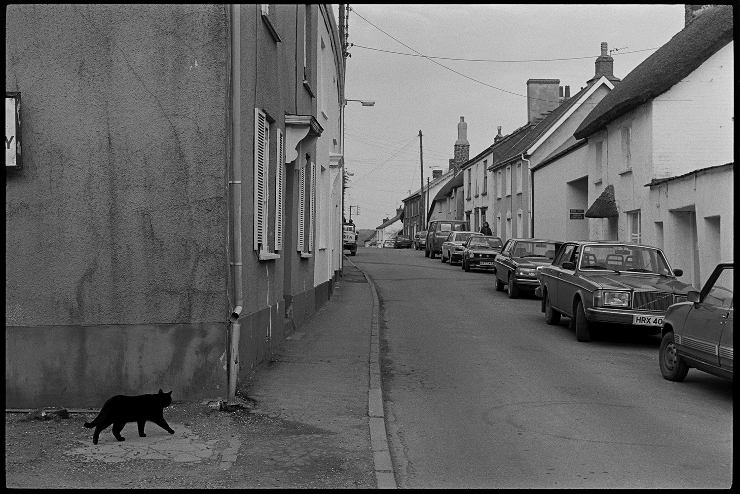 Street scenes with motorbikes.
[A black cat walking along a pavement past cottages and parked cars in a street in Chulmleigh.]
