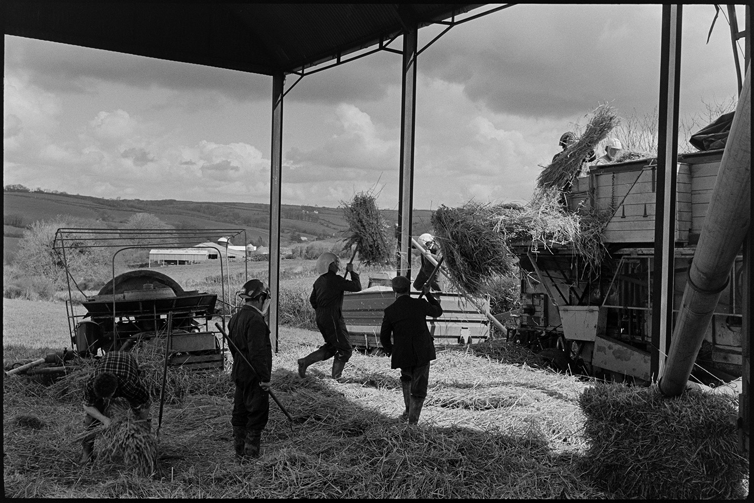 Reedcombers working from barn, loading reed comber.
[Men working inside a barn loading reed into a threshing machine or reed comber at Spittle Farm, near Chulmleigh. Five men are wearing helmets or visors and they are carrying the reed using pitchforks. A trailer collecting the grain is alongside the threshing machine. Farm buildings and fields are visible in the background.]