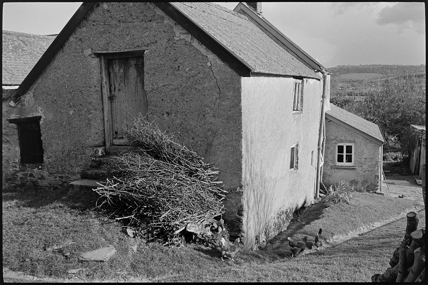 Pile of kindling or pea sticks beside barn.
[Twigs for use as kindling or pea sticks piled against the wall of a cob farm building at Harford, Landkey. Three chickens are walking down a path to the farmhouse in the foreground.]