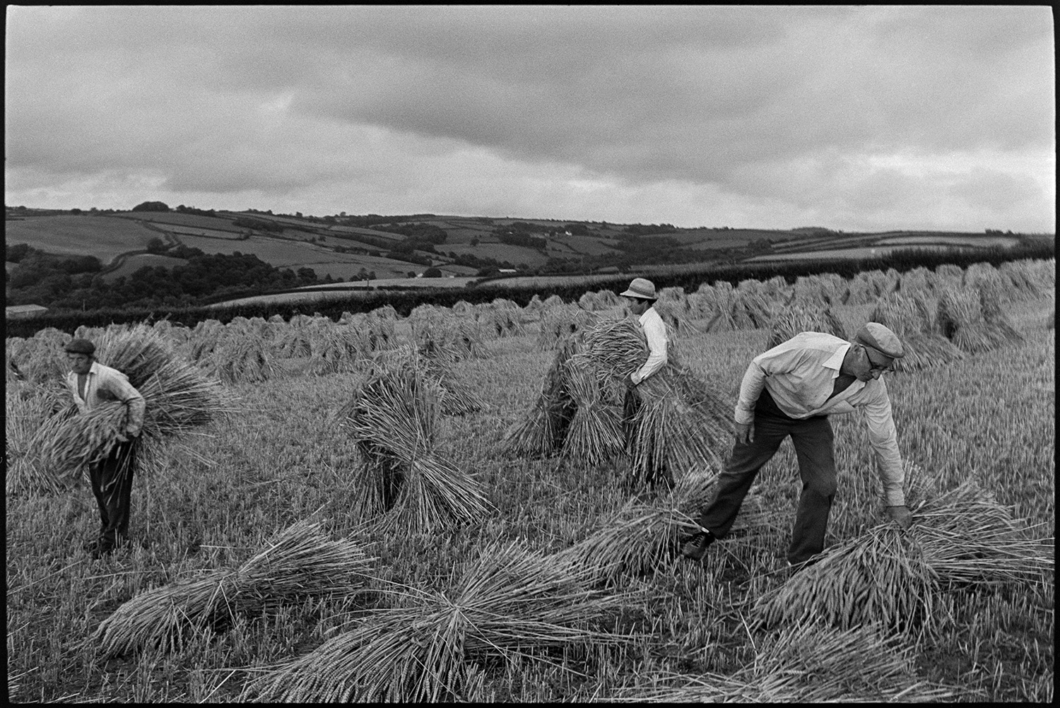 Men setting up stooks, reap and binder parked in field.
[Three men setting up stooks of corn in a field at Spittle, Chulmleigh, with a view of surrounding fields, hedges and clouds in the sky.]