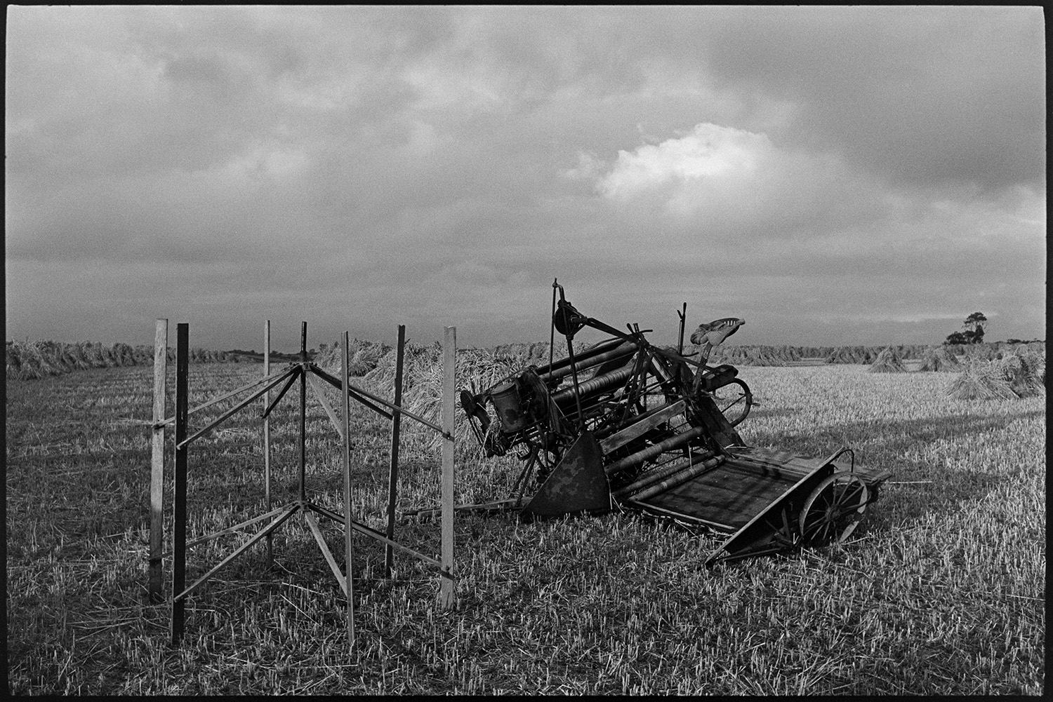 Men setting up stooks, reap and binder parked in field.
[A reap and binder machine in a field with corn stooks at Spittle, Chulmleigh.]