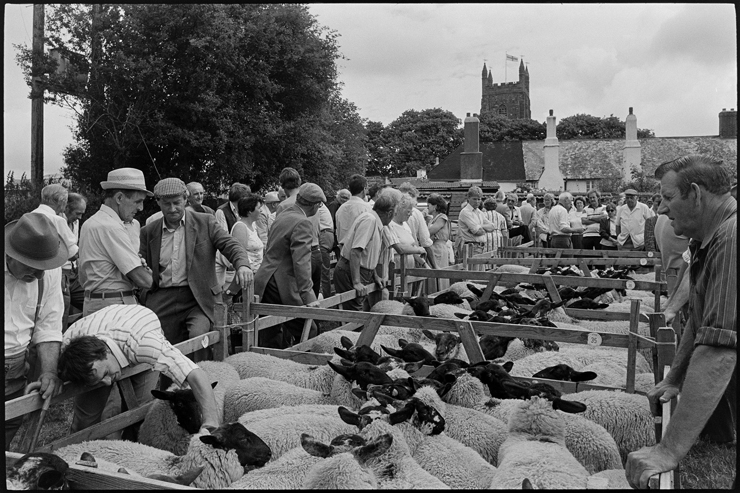 Fair, auction of sheep, farmers and crowds of spectators.
[A crowd of men and women standing around a row of wooden sheep pens containing black-faced sheep being sold at the Chulmleigh Fair. One of the men is inspecting a sheep. In the background the tower of the Church of St. Mary Magdalene, Chulmleigh can be seen.]