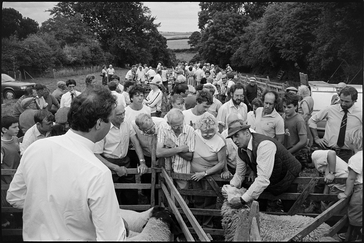 Fair, auction of sheep, farmers and crowds of spectators.
[A crowd of men and women watching the sale of sheep at Chulmleigh Fair, with a man inspecting one of the sheep in a wooden pen in the foreground.]
