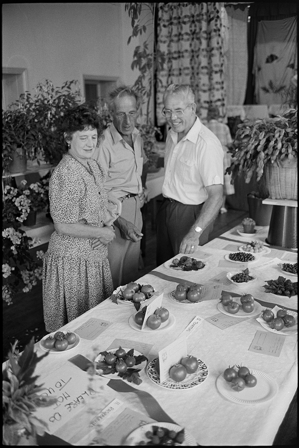 Fair, display of flowers and produce, fancy dress parade in street. 
[Two men and a woman looking at a display of fruit, including strawberries, blackberries and tomatoes at a flower show in a hall at Chulmleigh Fair.]
