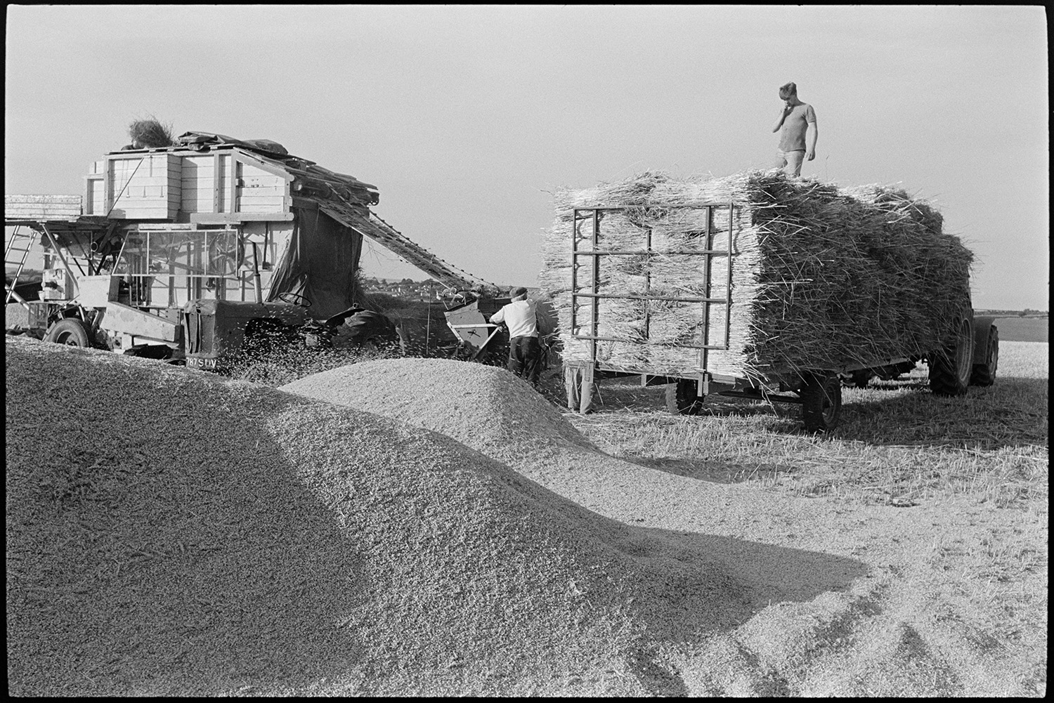 Reedcombers having tea break and working reed comber. 
[Men, including some from the Down family reedcoming in a field at Spittle Farm, Chulmleigh. The reed comber can be seen in the background and in the foreground is a tractor and trailer loaded with bundles of reed and a large pile of grain. A man is stood on top of the trailer.]