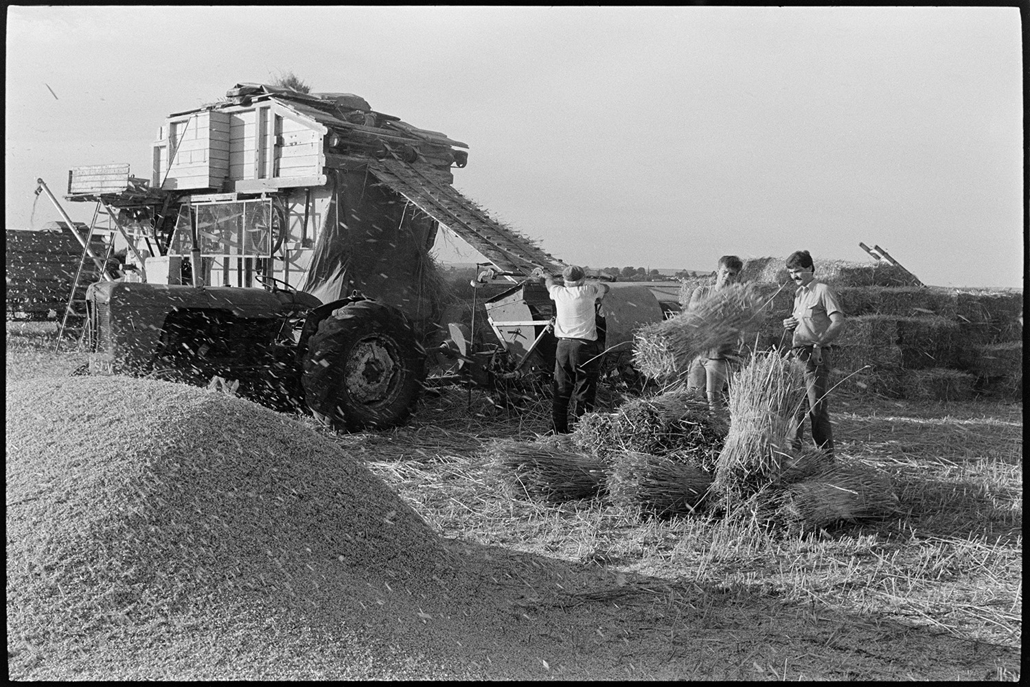 Reedcombers having tea break and working reed comber. 
[Men, possibly from the Down family, reed combing in a field at Spittle Farm, Chulmleigh. Two men in the foreground at stacking bundles of reed from the comber by a large pile of grain. Stacks of hay bales can also be seen in the background.]