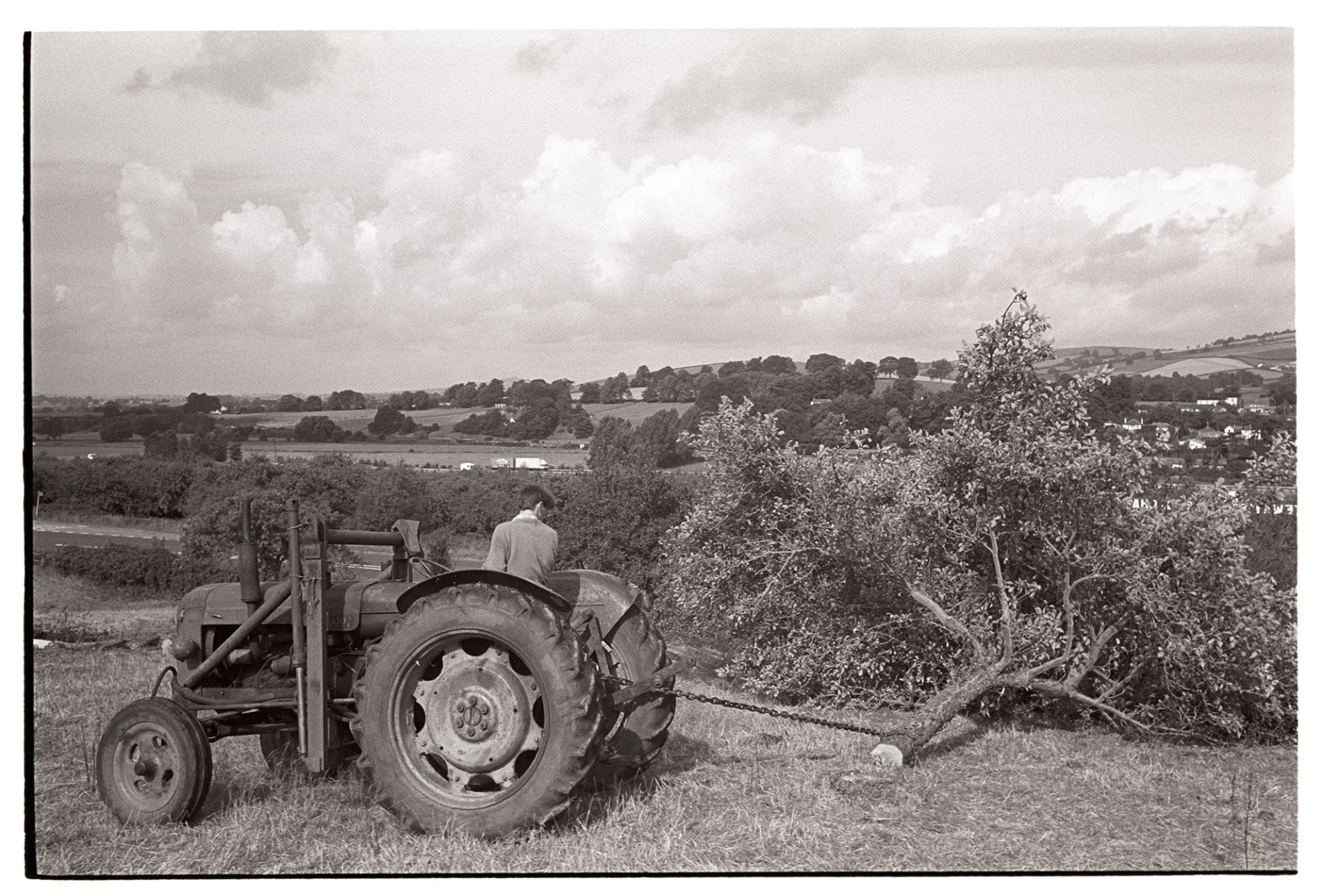Orchards, tractor pulling up trees to clear orchard. 
[A tractor clearing an orchard at Hele, South Devon. One of the fruit trees is being dragged behind the tractor with a chain. Trees, fields, a village and clouds are visible in the background.]