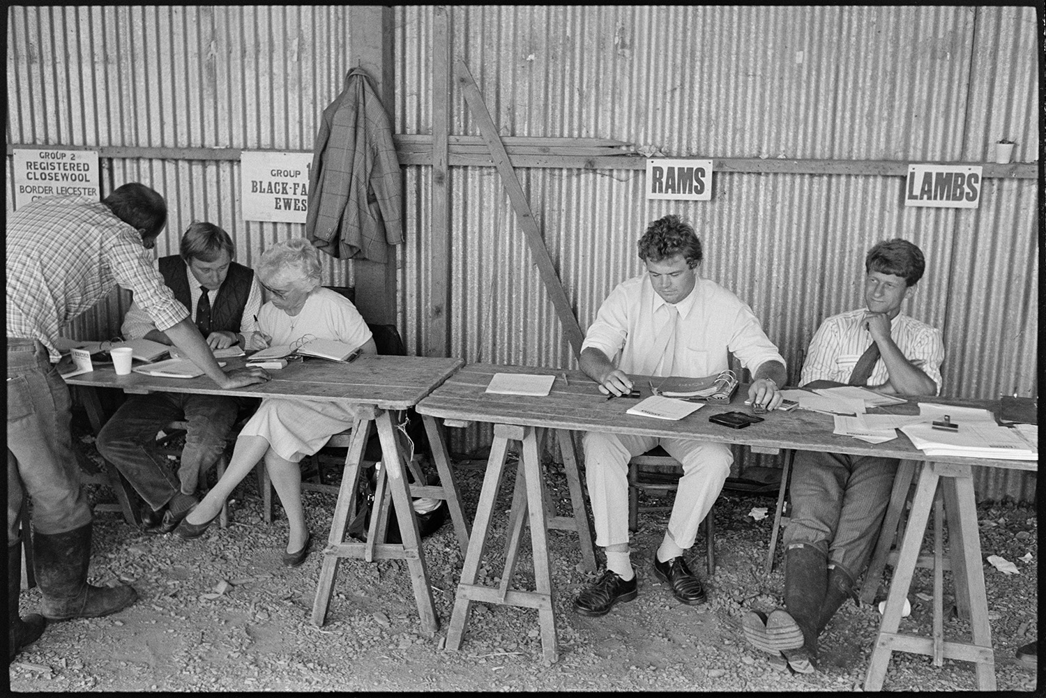 View over pens at sheep fair, farmers checking sheep, clerks at sale office in shed. 
[A man talking to two clerks in the sale office at South Molton Sheep fair. The office is a corrugated iron shed and two other clerks are sat at a table in front of signs reading 'Rams' and 'Lambs'.]