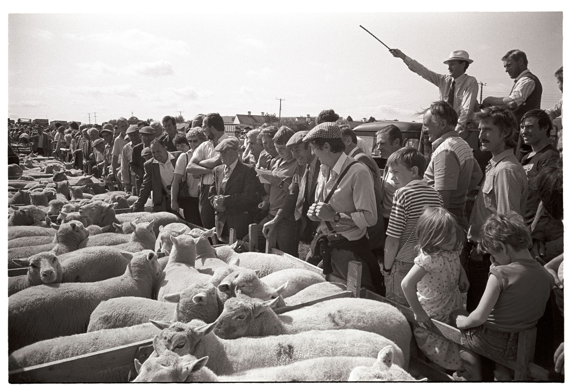 Farmer standing looking at sheep in pen. <br />
[Men, women and children looking at sheep in pens at South Molton Sheep Fair. The auctioneer is standing behind them, taking bids.]