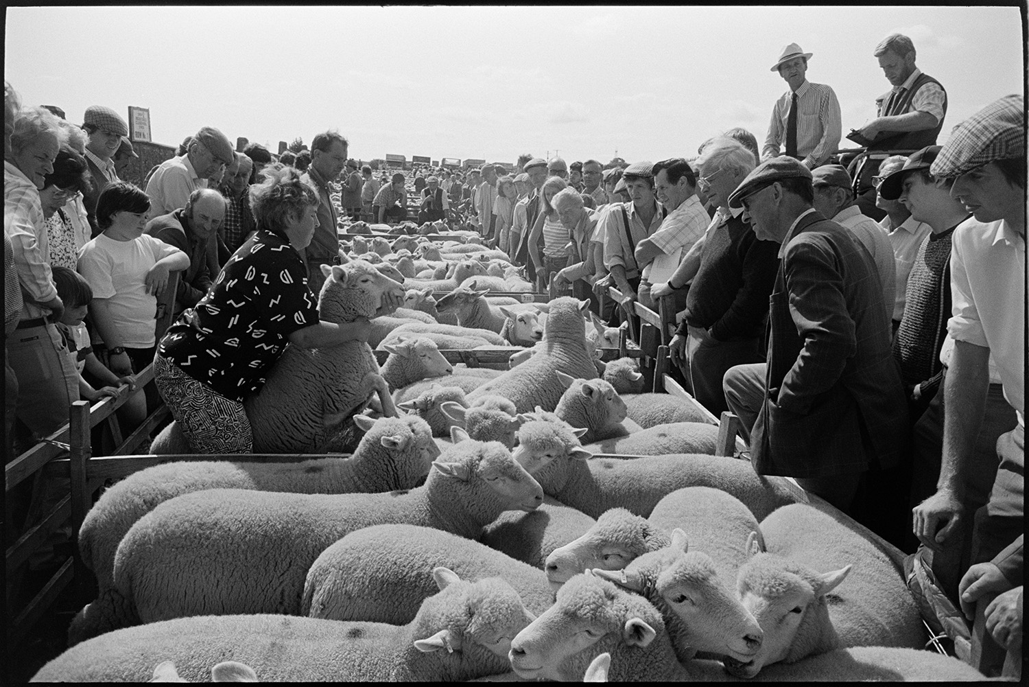 Sheep fair, farmers, auctioneers moving along pens of sheep on hot day. 
[A woman holding and checking a sheep in a pen at South Molton Sheep Fair. Men, women and children are watching and an auctioneer and his clerk are looking over the crowd.]
