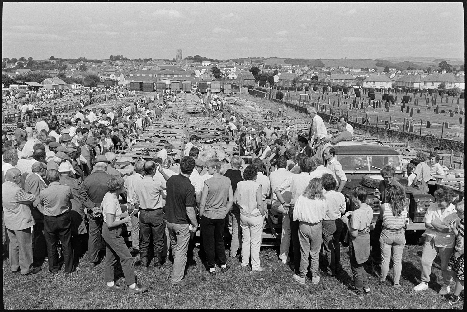 Sheep fair, farmers, auctioneers moving along pens of sheep on hot day. Overview towards town. 
[Men and women walking along rows of pens of sheep at South Molton Sheep fair. Auctioneers are stood in the back of a Land Rover in the foreground. Livestock lorries, a graveyard and the town of South Molton, including the church tower, are visible in the background.]