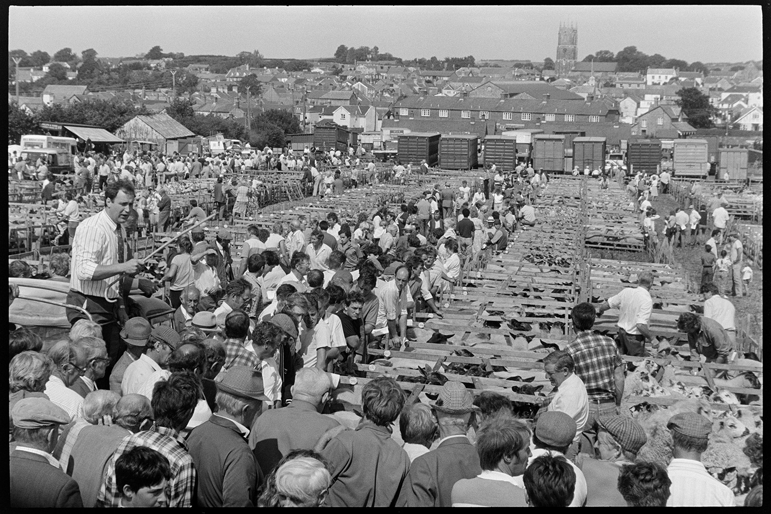 Sheep fair, farmers, auctioneers moving along pens of sheep on hot day. Overview towards town. 
[Men and women walking along rows of sheep pens at South Molton Sheep Fair. An auctioneer is stood in the back of a Land Rover looking over the pens. He is holding a stick. Livestock lorries and the town of South Molton, including the church tower, are visible in the background.]