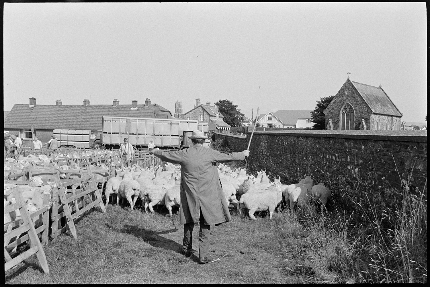 Sheep fair, farmers, auctioneers moving along pens of sheep on hot day. Overview towards town. 
[A man herding sheep between a stone wall and other sheep pens at South Molton Sheep Fair. A livestock lorry, houses and a chapel can be seen in the background.]